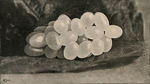 Geomalacus maculosus eggs