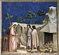 Giotto di Bondone - No. 2 Scenes from the Life of Joachim - 2. Joachim among the Shepherds - WGA09170