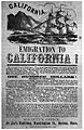 Gold Rush flyer