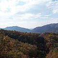 Greenbrier State Forest-square