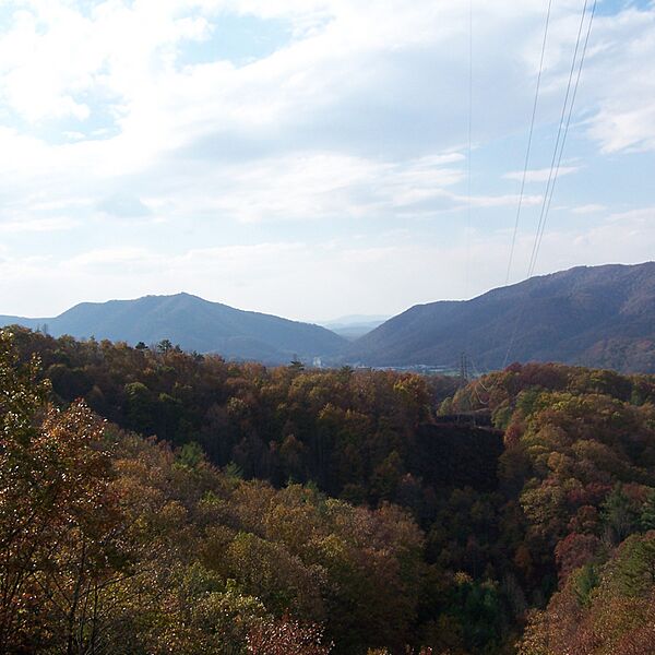 Greenbrier State Forest-square