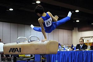 Gymnastics brokenchopstick