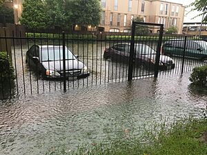 Hurricane-Tropical Storm Harvey in Houston - August 27 2017 AM (36032737983)