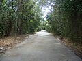 Key Largo FL Dagny Johnson Key SP path01