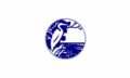 Kiawah Island, SC Town Flag