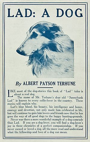 Lad A Dog (1919, touched up).jpg
