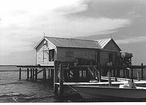 Larsen Fish Cabin at Captiva Rocks