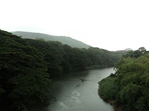 Mahaweli River