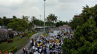 Marchas 21N-Cali, Colombia (2).jpg