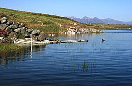 Maumeen Lough and the Twelve Bens - geograph.org.uk - 608201.jpg
