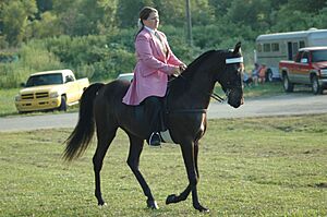 MiltonHorseShow