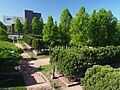 Minneapolis Sculpture Garden 02