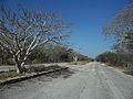 Misnebalam, Yucatán (36)