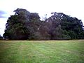 Mound, Morden Park. - geograph.org.uk - 30660