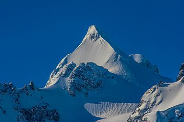 Mount Matier.jpg