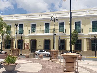 Museo de Arte en Caguas, Puerto Rico