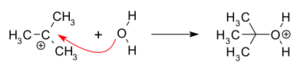 NS1 reaction part2 recombination carbocation nucleophile