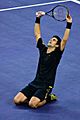 Novak Djokovic during the 2008 Tennis Masters Cup final3