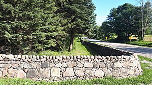 Patullo-McDiarmid Stone Fence- Town of Caledon-Ontario- HPC15340-20210812