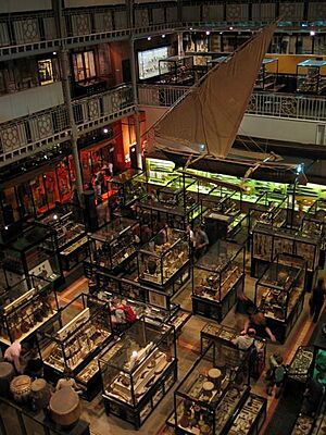 Pitt-rivers-m2