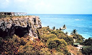 Playa Pájaros in Mona Island