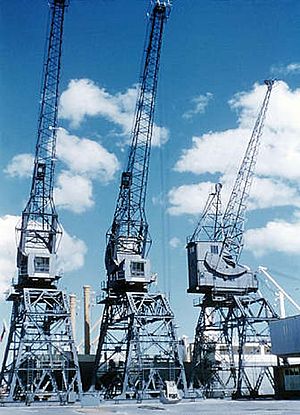 Ports of Auckland Jellicoe Cranes