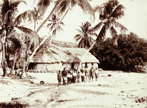 Queensland State Archives 2533 Joe Rotumahs house on Darnley Island with India rubber planted in 1890 1898