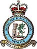 RAF Henlow badge.jpg
