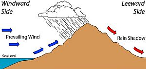 Rain shadow effect