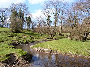 River Unk - geograph.org.uk - 395595