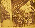 Roof Garden U.T. Blg- 1894