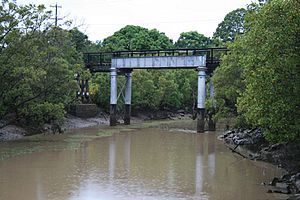Saltwater Creek Railway Bridge (2009).jpg