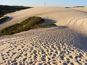 Sand Dunes in the Sutherland Shire, Sydney 3