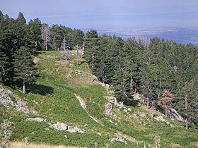 Sarakatsana, Pierian Mountains.jpg