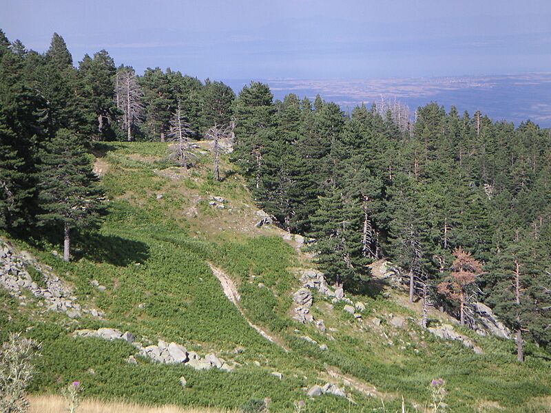 Sarakatsana, Pierian Mountains