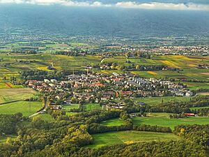 Satigny from the air