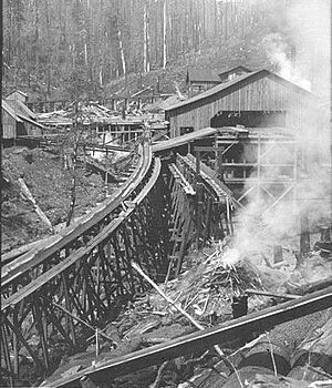 Sawmill 19th century
