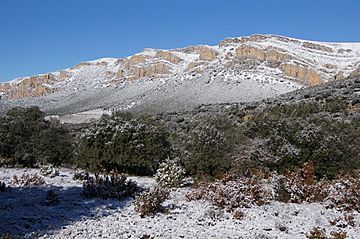 Serra del Montsec 3.JPG