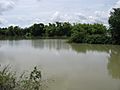 Small Lake in Serei Saophoan District Banteay Meanchey
