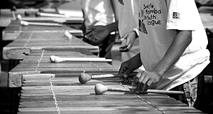 Soweto Marimba Youth League-001