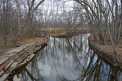 St. Joseph River in Bridgewater Township