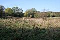 Stonesby Quarry Nature Reserve - geograph.org.uk - 592884