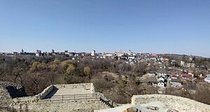 Suceava view from fortress in 2022