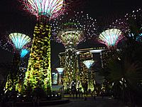 Supertree Grove, Gardens by the Bay, Singapore - 20120630-04