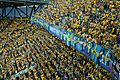 Sweden supporters 2008