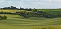 Sweep of the Downs at Starveall, Berkshire - geograph.org.uk - 4043203