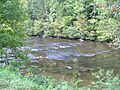 Tellico River