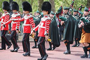 Trooping the Colour II