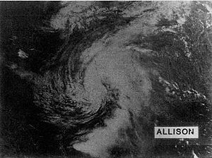 Tropical Storm Allison (1989) Facts for Kids