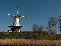 Veere, korenmolen de Koe positie2 RM36991 foto5 2014-03-16 11.52